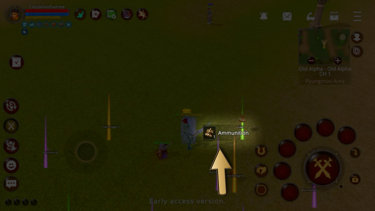Ammunition picked up after a kill