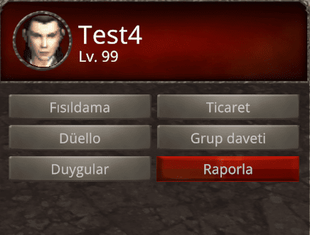 Report
